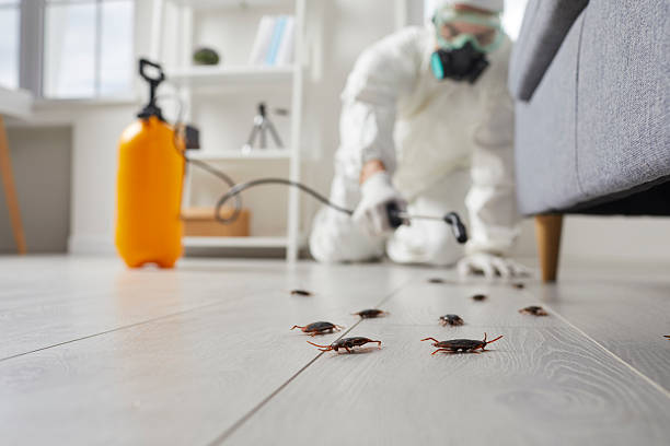 Affordable Cockroach Control solutions in East End, AR