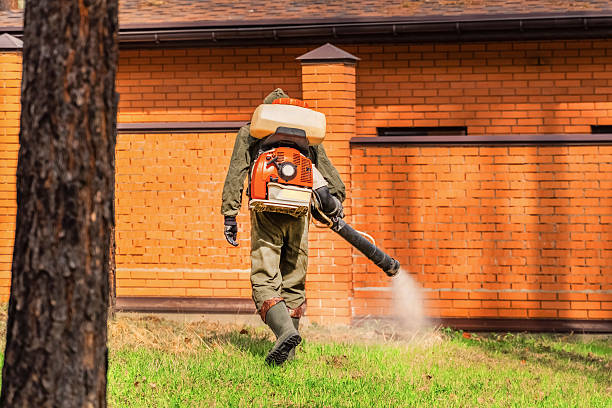 Top rated local Cockroach Control specialists in East End, AR